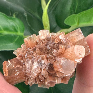 Earthy Aragonite Sputnik Crystal | Grounding & Emotional Balance