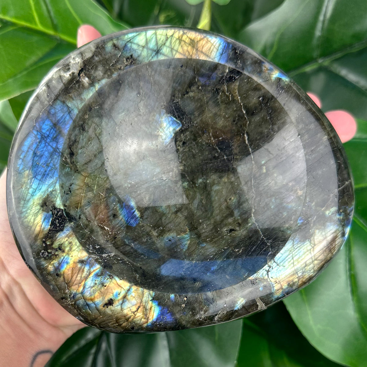 XL Labradorite Bowl Carving from Madagascar | Flash, Protection & Luxury Crystal Décor