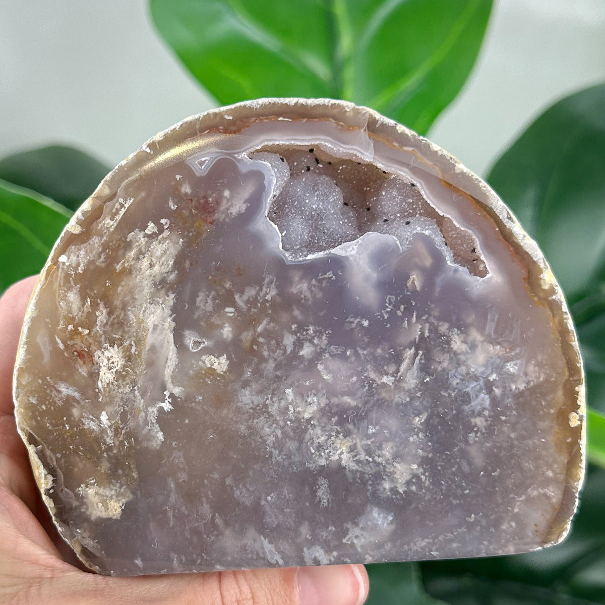 Premium Agate Geode | Natural Druzy Crystal Statement Piece