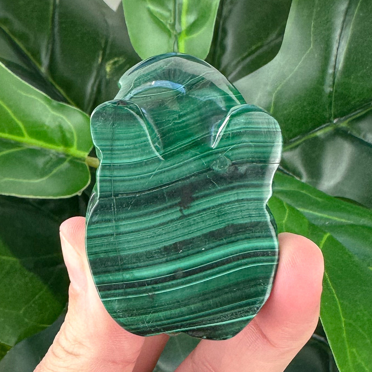 Malachite Frog Carving | Prosperity, Protection & Transformation