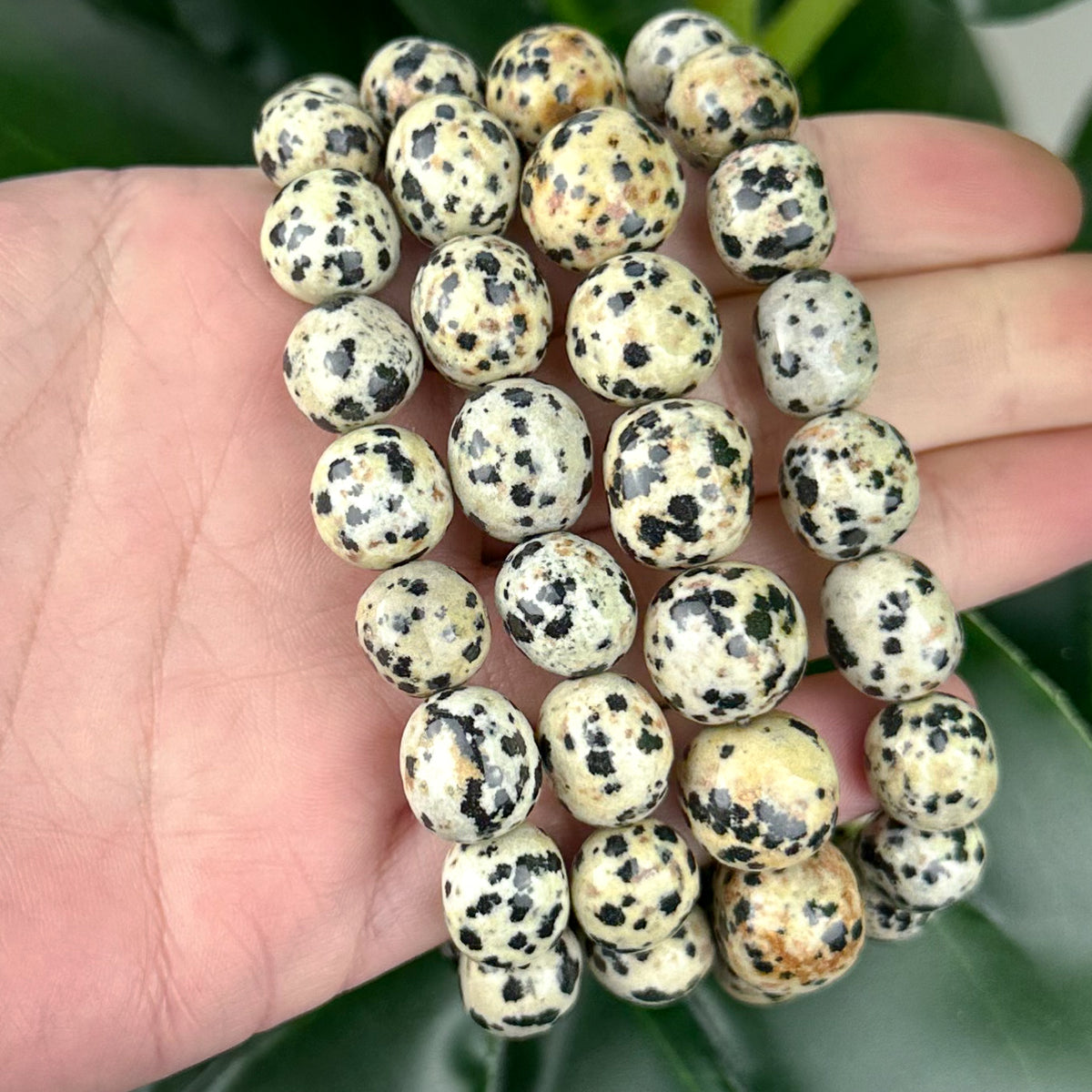 Dalmatian Jasper Nugget Bracelet | Joy, Grounding & Protection