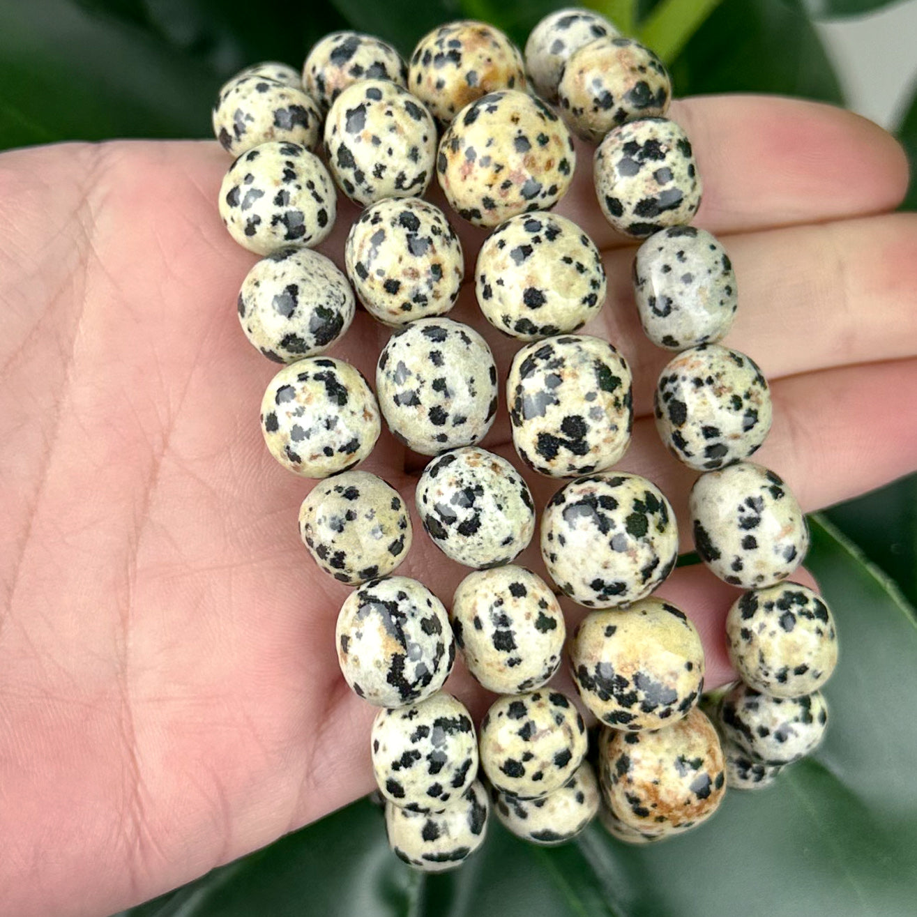 Dalmatian Jasper Nugget Bracelet | Joy, Grounding & Protection