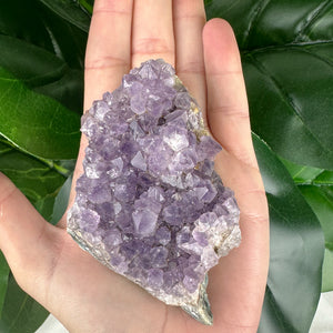Amethyst Cluster | Raw Crystal | One of a Kind | Calm & Protection