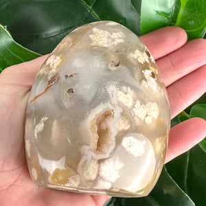 Natural Flower Agate Free Form | Self Love, Soft Energy & Healing Crystal
