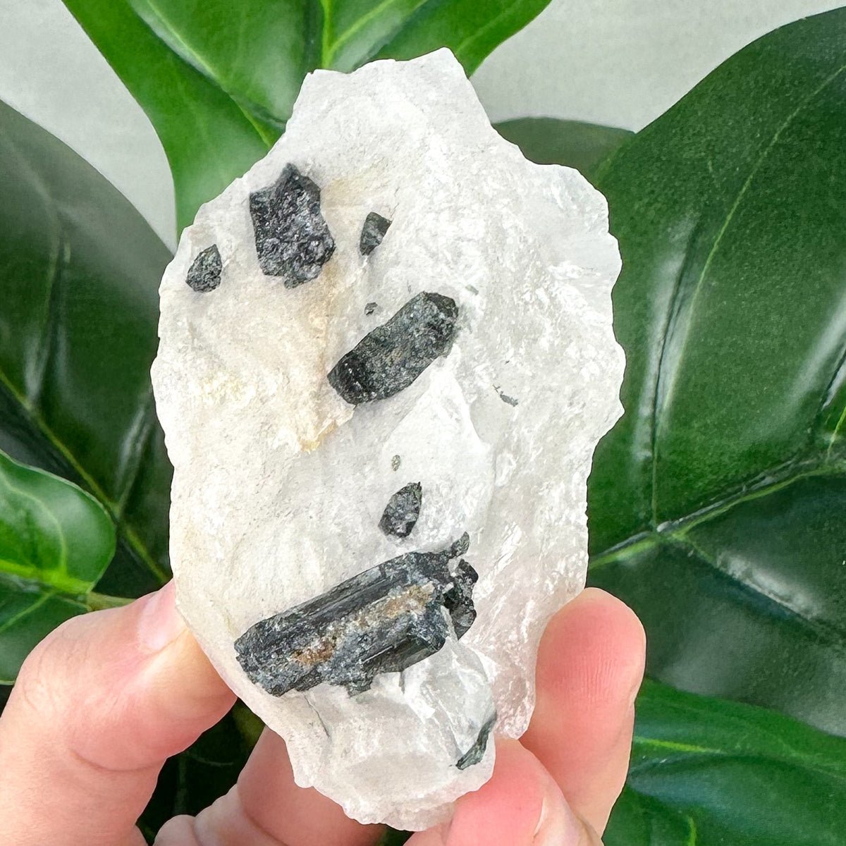 Green Blue Tourmaline in Quartz | Protection, Growth & Grounding