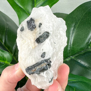 Green Blue Tourmaline in Quartz | Protection, Growth & Grounding
