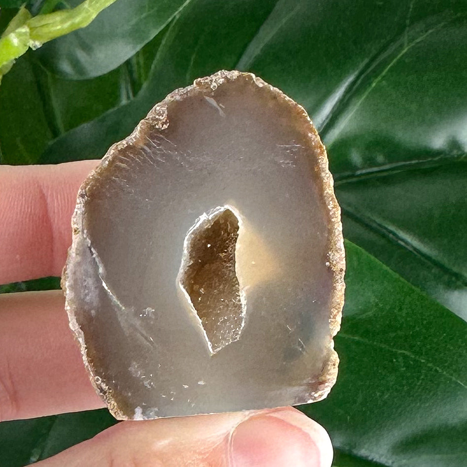 Mini Chocolate Agate Slice with Tiny Druzy Pocket | Raw Polished Crystal