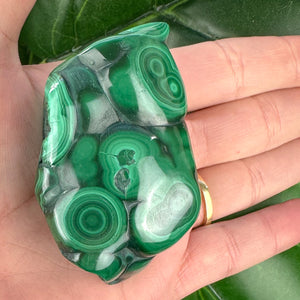 Premium Malachite Crystal | Protection, Confidence & Heart Healing