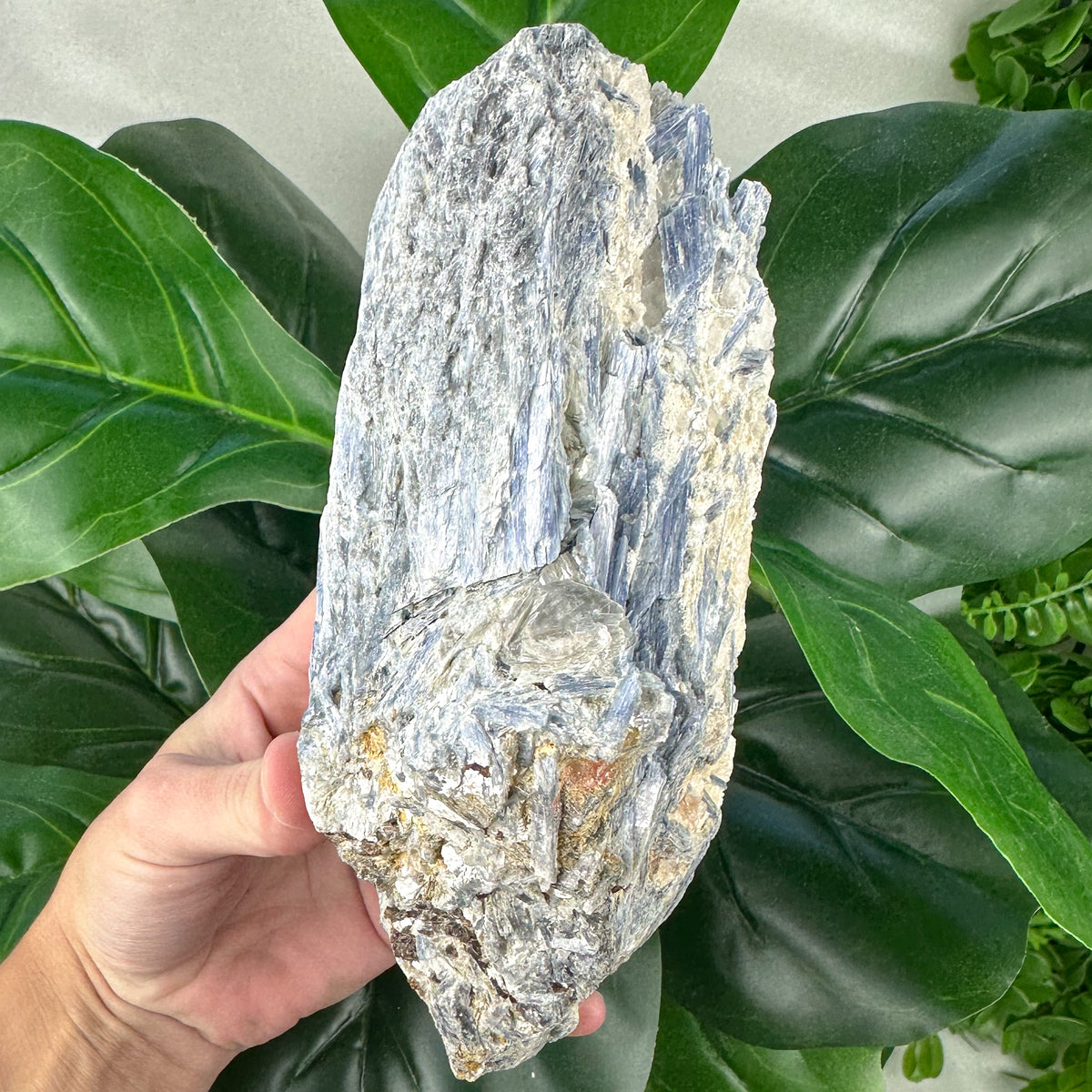 Blue Kyanite in Matrix | Communication, Alignment & Calm