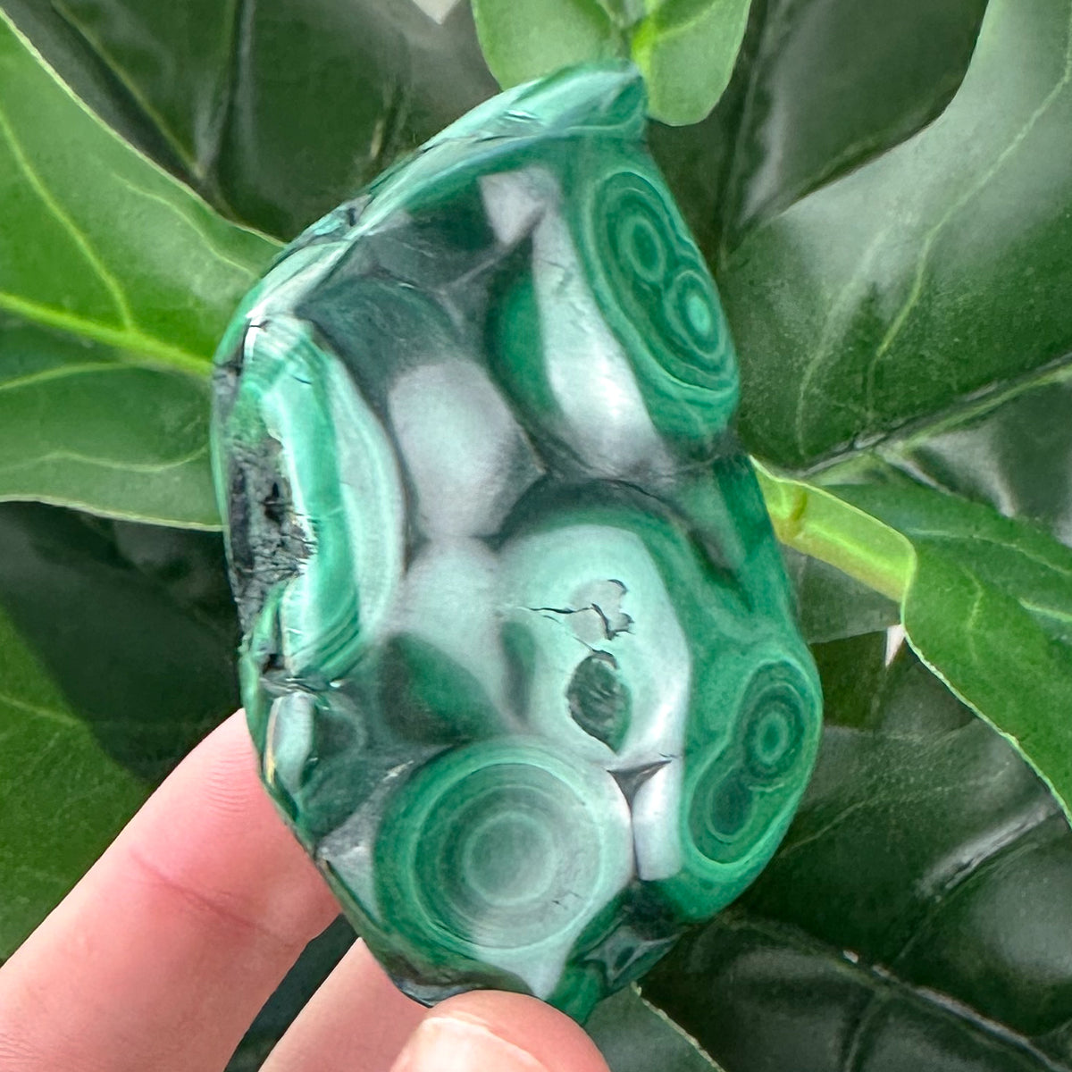 Premium Malachite Crystal | Protection, Confidence & Heart Healing