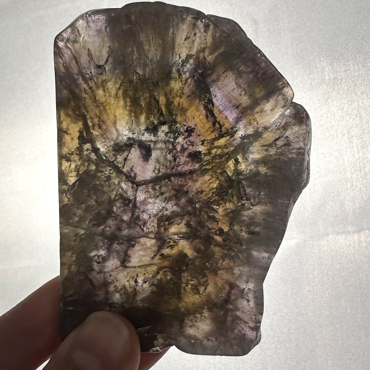 Super Seven Slab - Unique Collector's Piece