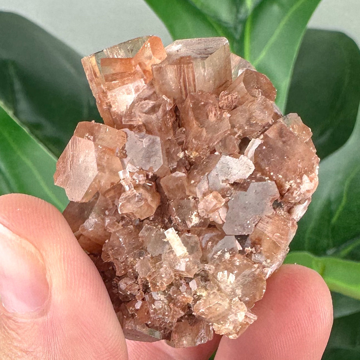 Natural Aragonite Crystal Sputnik | Grounding, Meditation & Calm