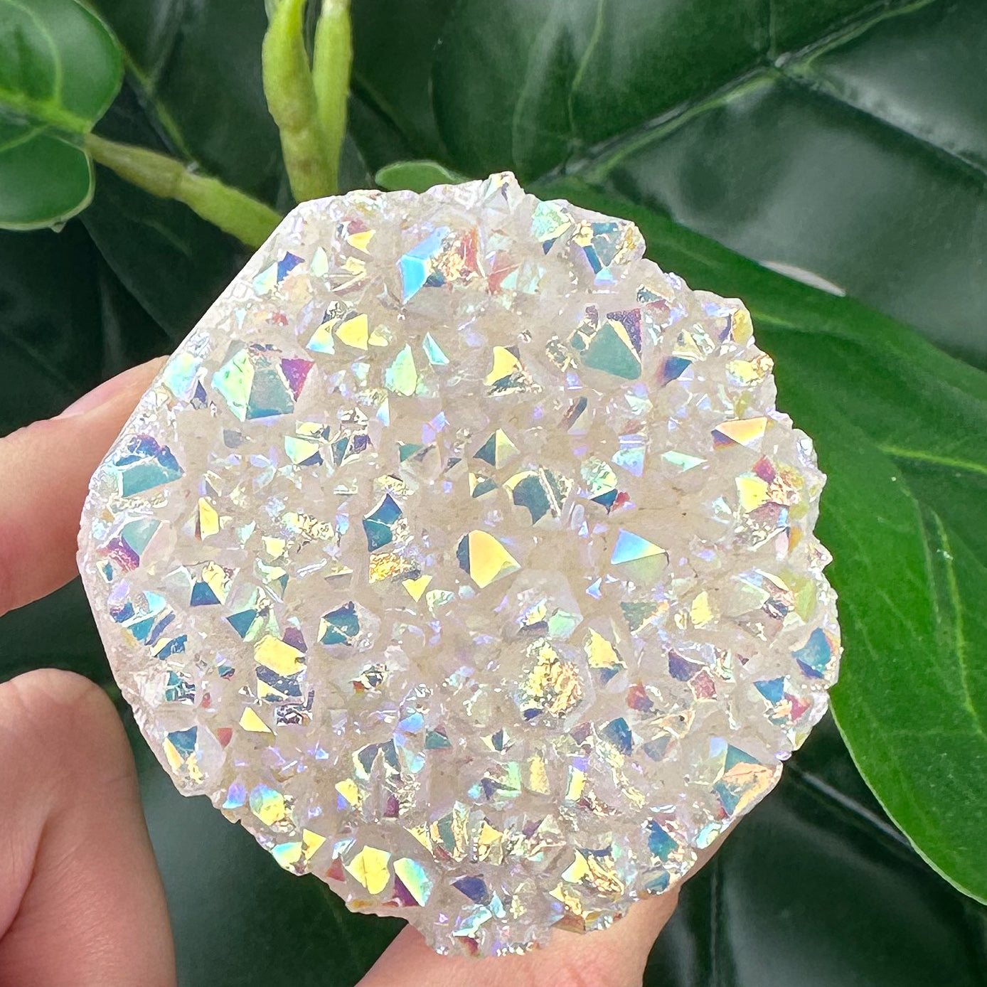 Angel Aura Quartz Cluster | Medium | High Vibration Crystal (157g)