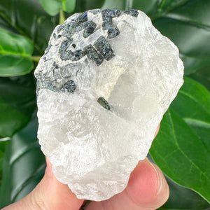 Raw Tourmaline Rod in Quartz | Grounding, Protection & Balance