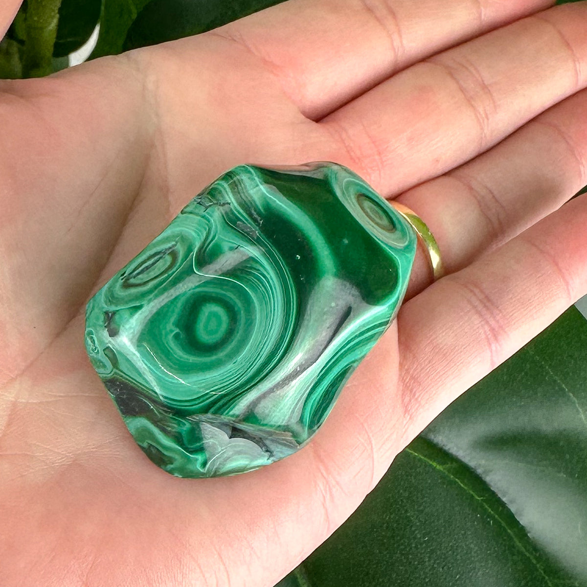 Polished Malachite Palm Stone | 77g | Deep Green Swirls for Emotional Strength & Healing