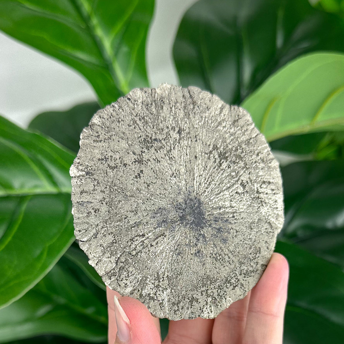 Large Pyrite Sun Crystal (103g), Raw Collector Mineral for Protection & Power