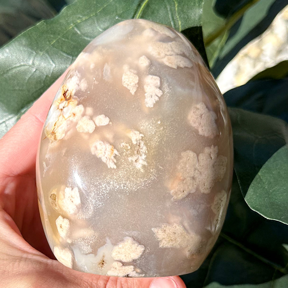Natural Flower Agate Free Form | Self Love, Soft Energy & Healing Crystal