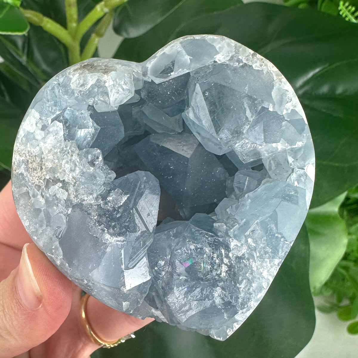 Celestite Heart “Celestial Comfort”