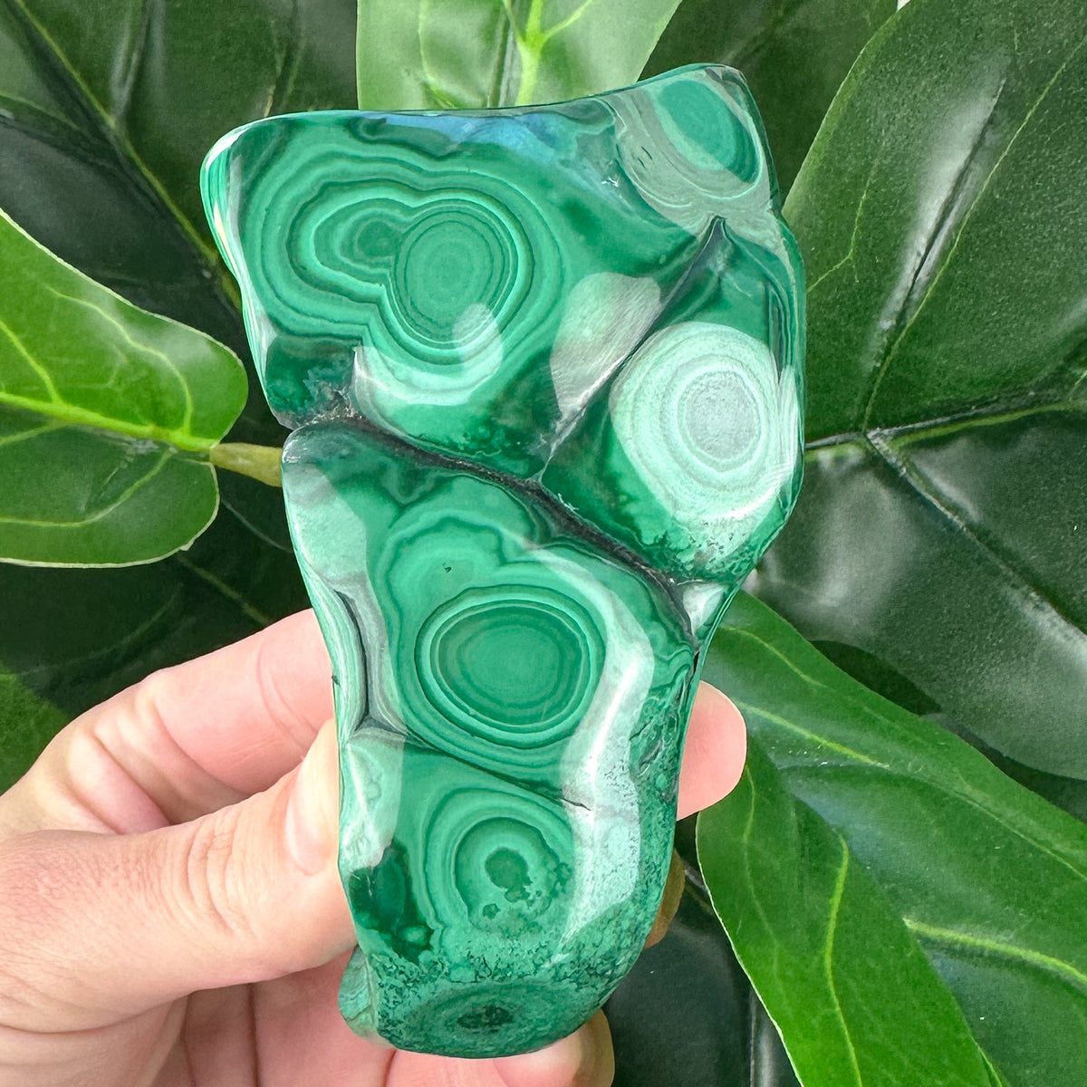 Polished Malachite Crystal | Transformation, Protection & Heart Healing