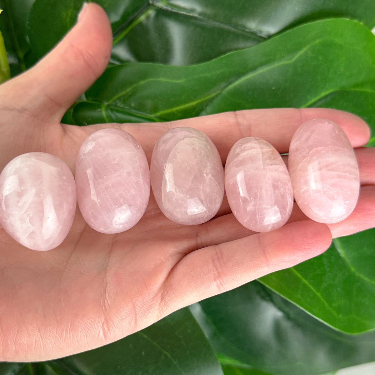 Rose Quartz Tumble | Love & Healing | Pocket Crystal | Intuitively Chosen