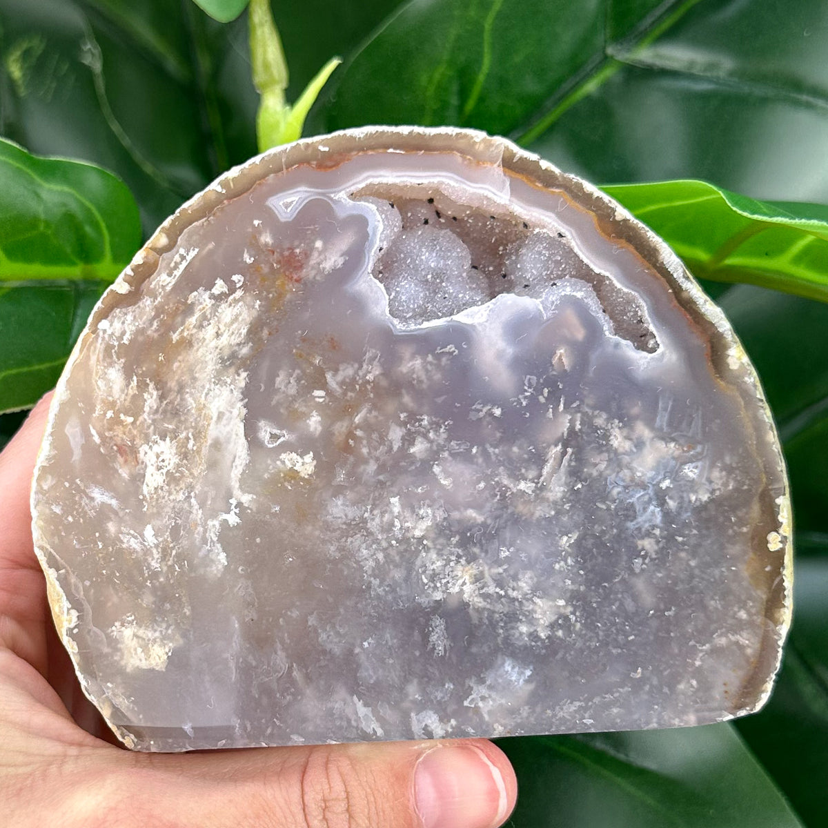 Premium Agate Geode | Natural Druzy Crystal Statement Piece