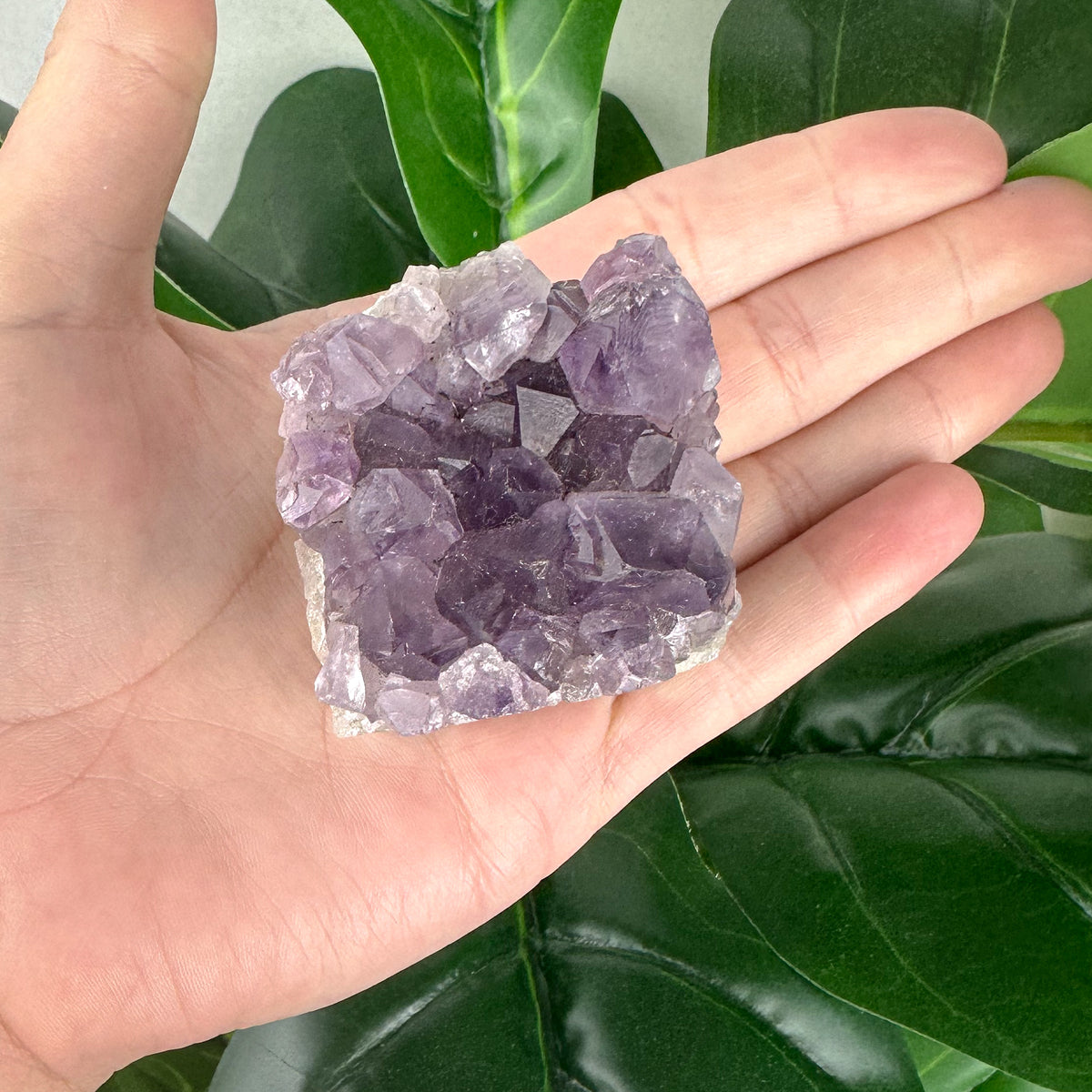 Amethyst Cluster | Statement Piece | Energy Cleansing | Spiritual Decor