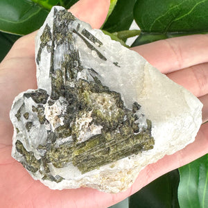 Epidote Included Quartz Crystal | Healing, Grounding & Energy Clearing