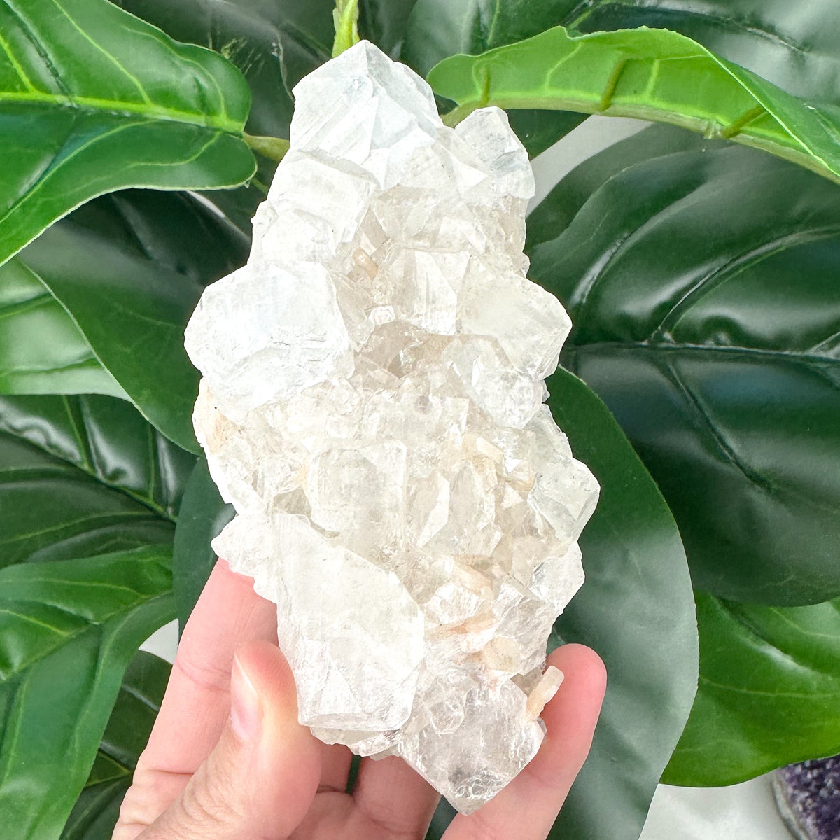 Premium Apophyllite Cluster | Clarity, Serenity & Spiritual Connection
