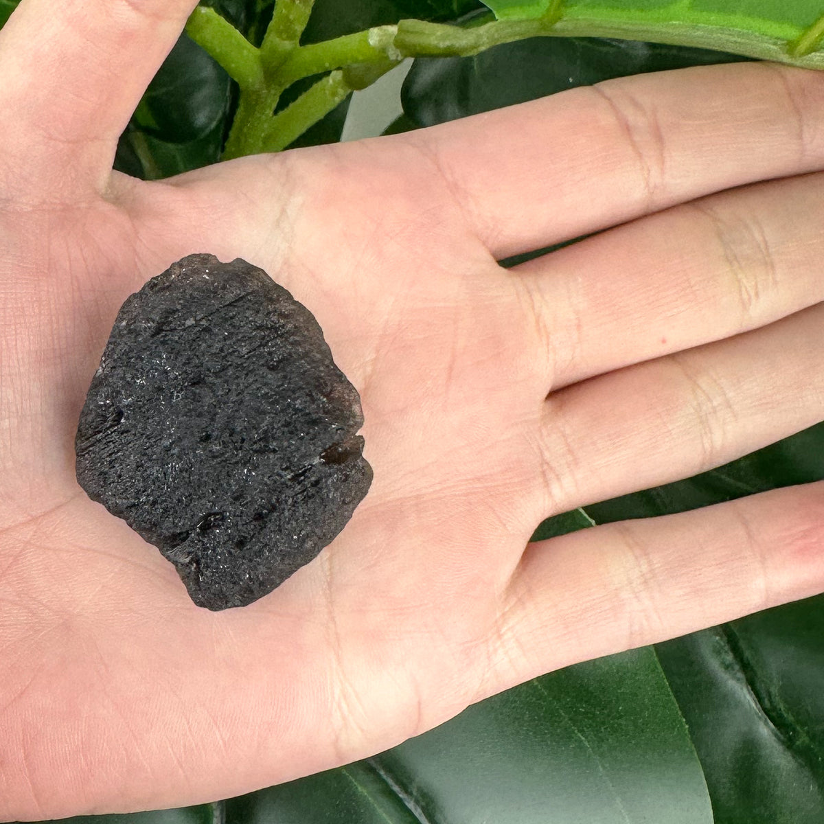 Large Saffordite 20g | Cintamani Stone | Rare Tektite