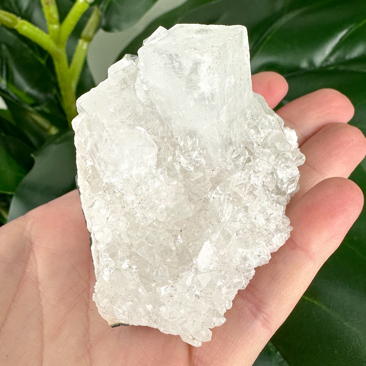 Apophyllite Cluster No.5 – Rainbow Cubes & Clarity (167g)