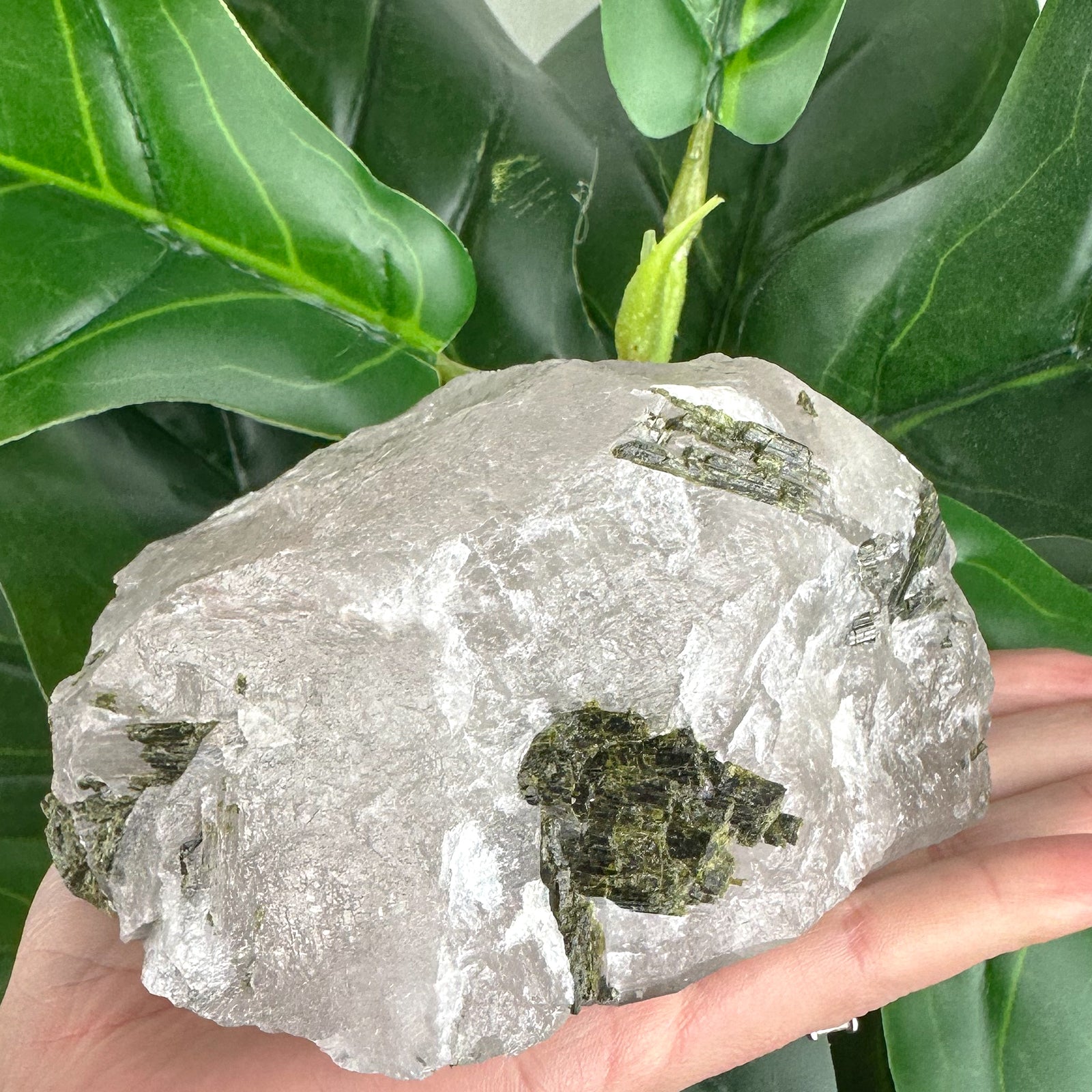 Large Epidote in Quartz Crystal | Transformation & Spiritual Growth