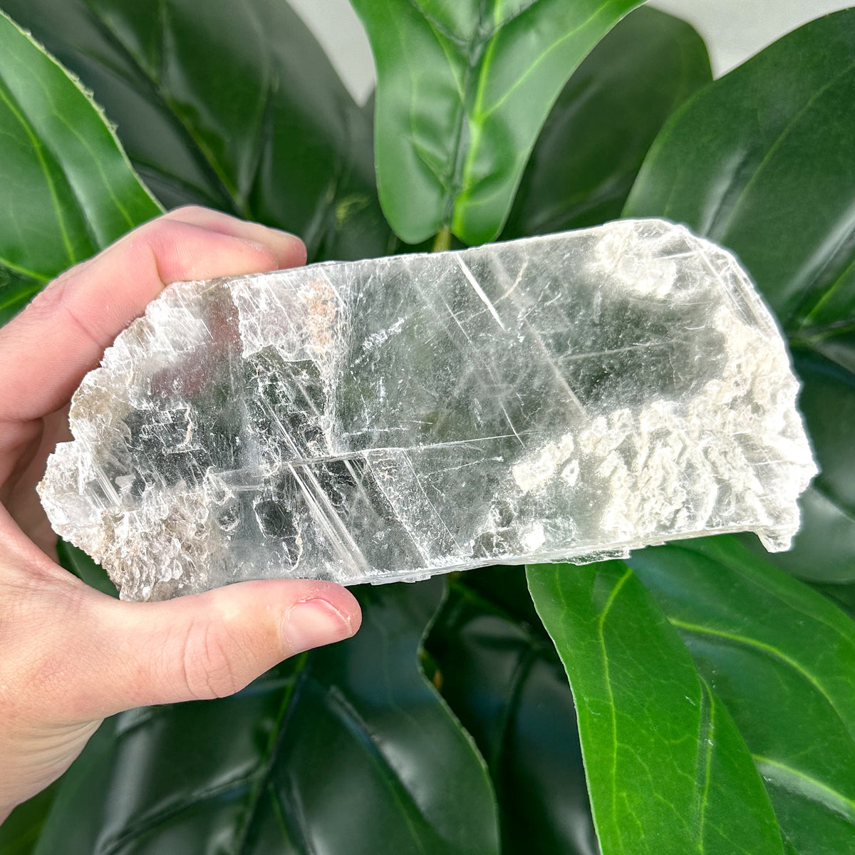 Natural Selenite Window | Cleansing, Peace & Angelic Energy