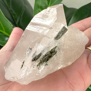 Raw Epidote in Quartz | Healing, Balance & Growth