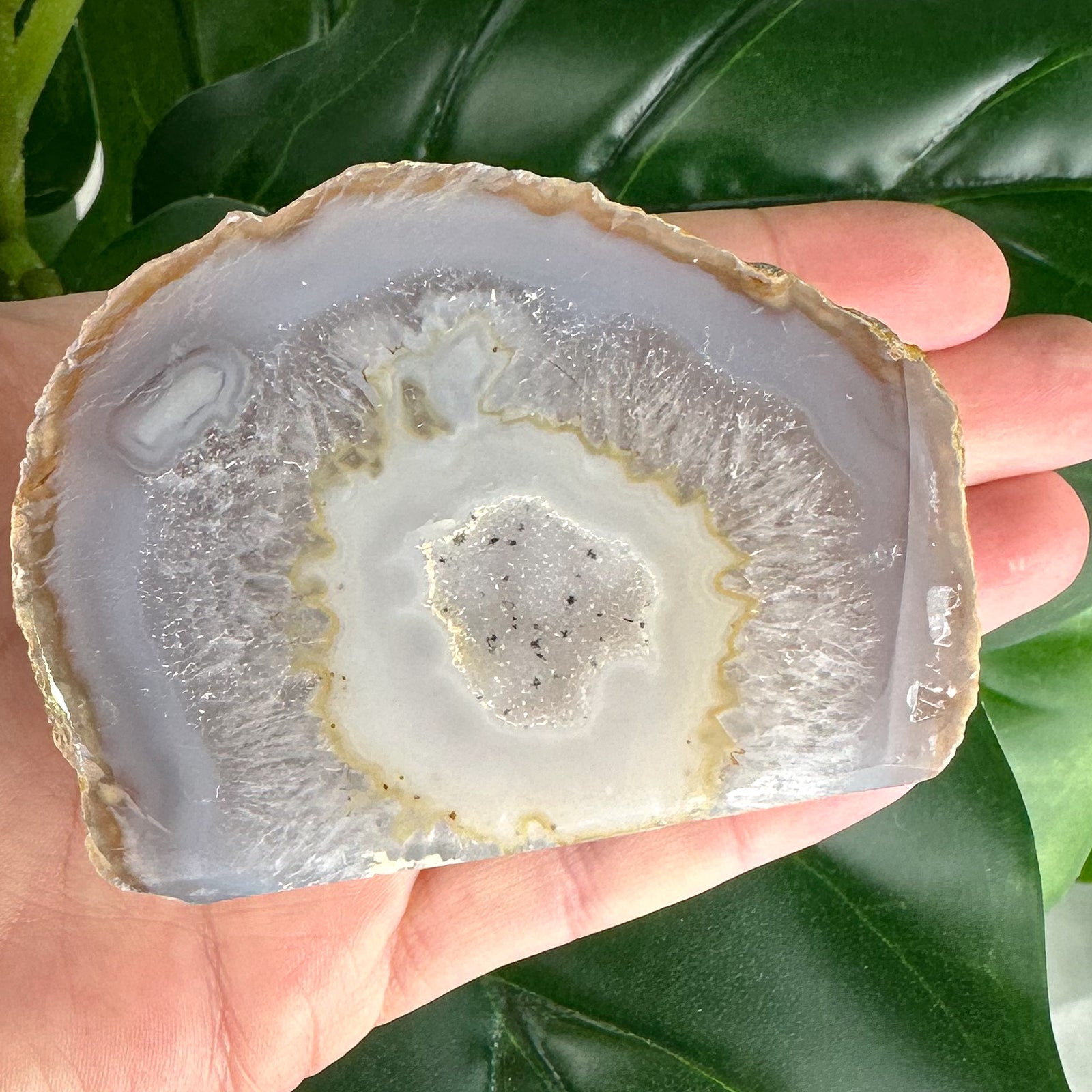Soft Honey & Cream Agate Slice with Starry Druzy | Freestanding Polished Crystal