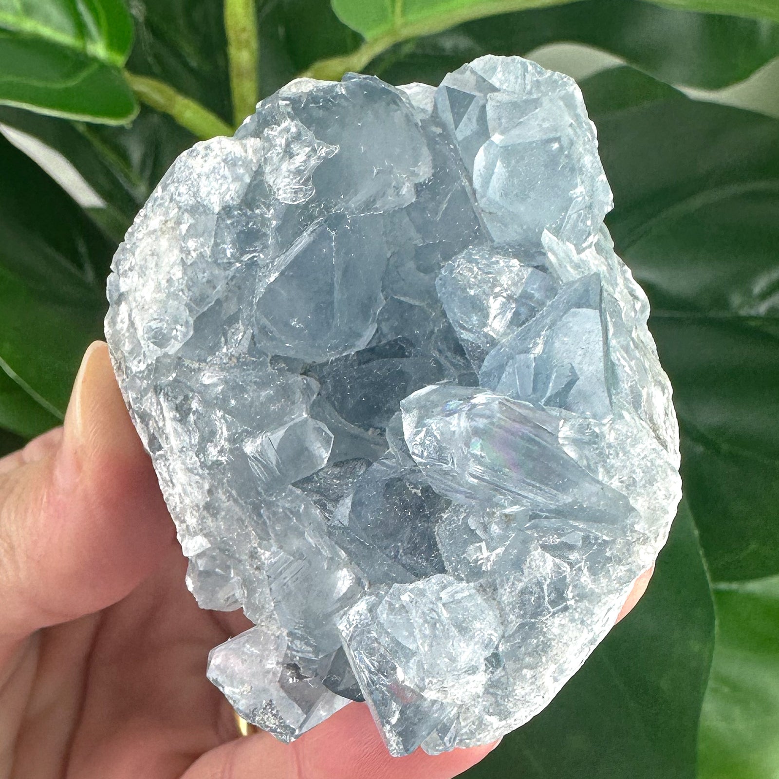Celestite Cluster “Rainbow Portal”