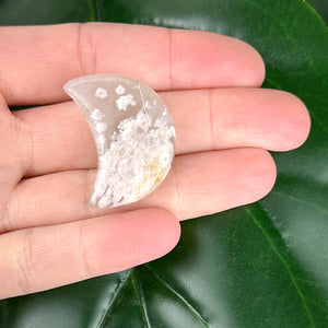 Flower Agate Moon Crystal #4 | Growth & New Beginnings Crystal