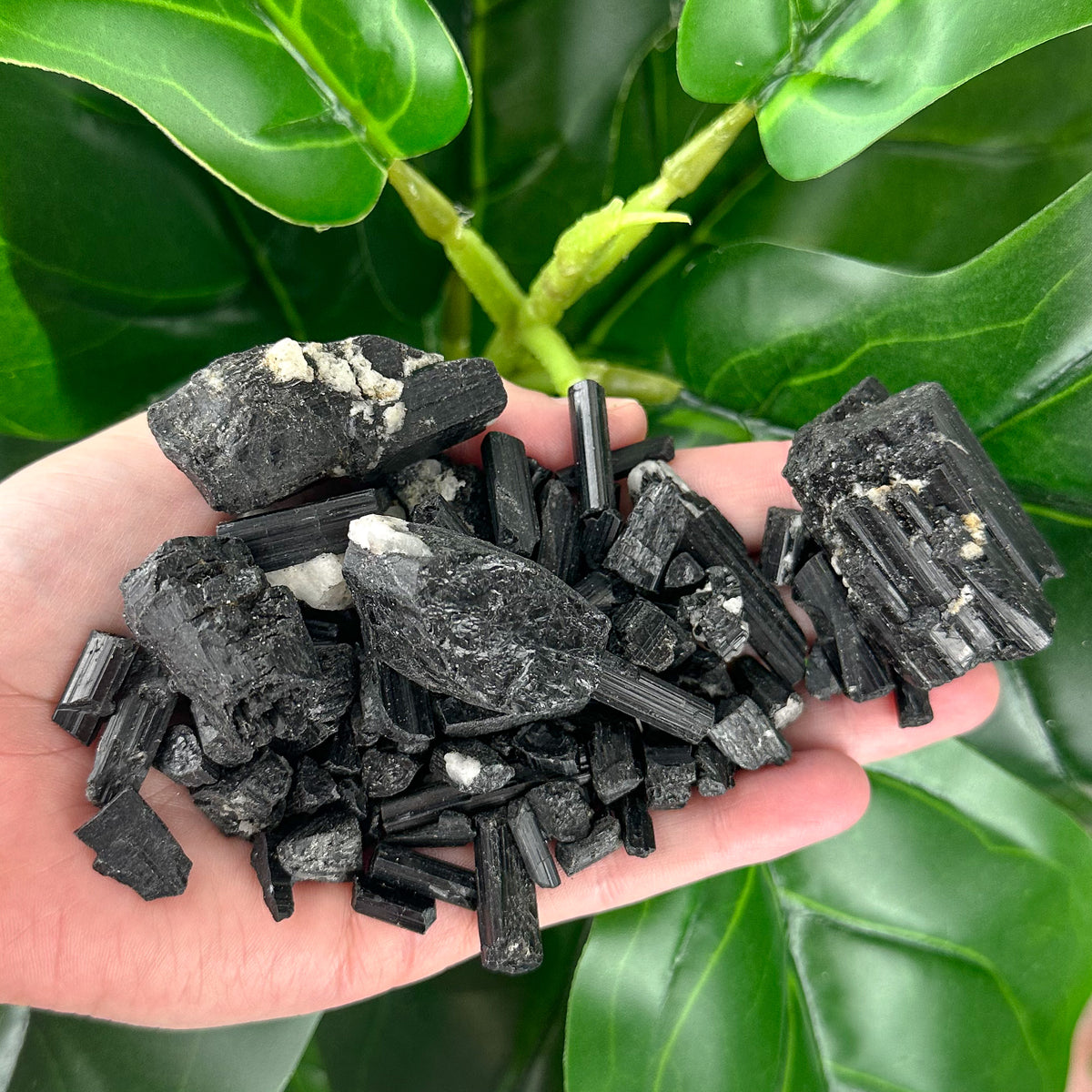 Raw Black Tourmaline Crystal | Protection & Grounding Stone