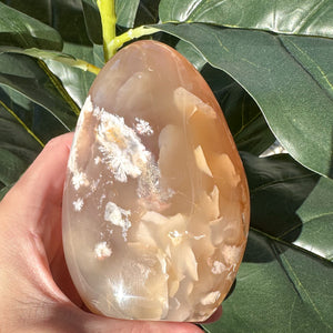 Flower Agate Free Form Crystal | Feminine Energy, Growth & New Beginnings