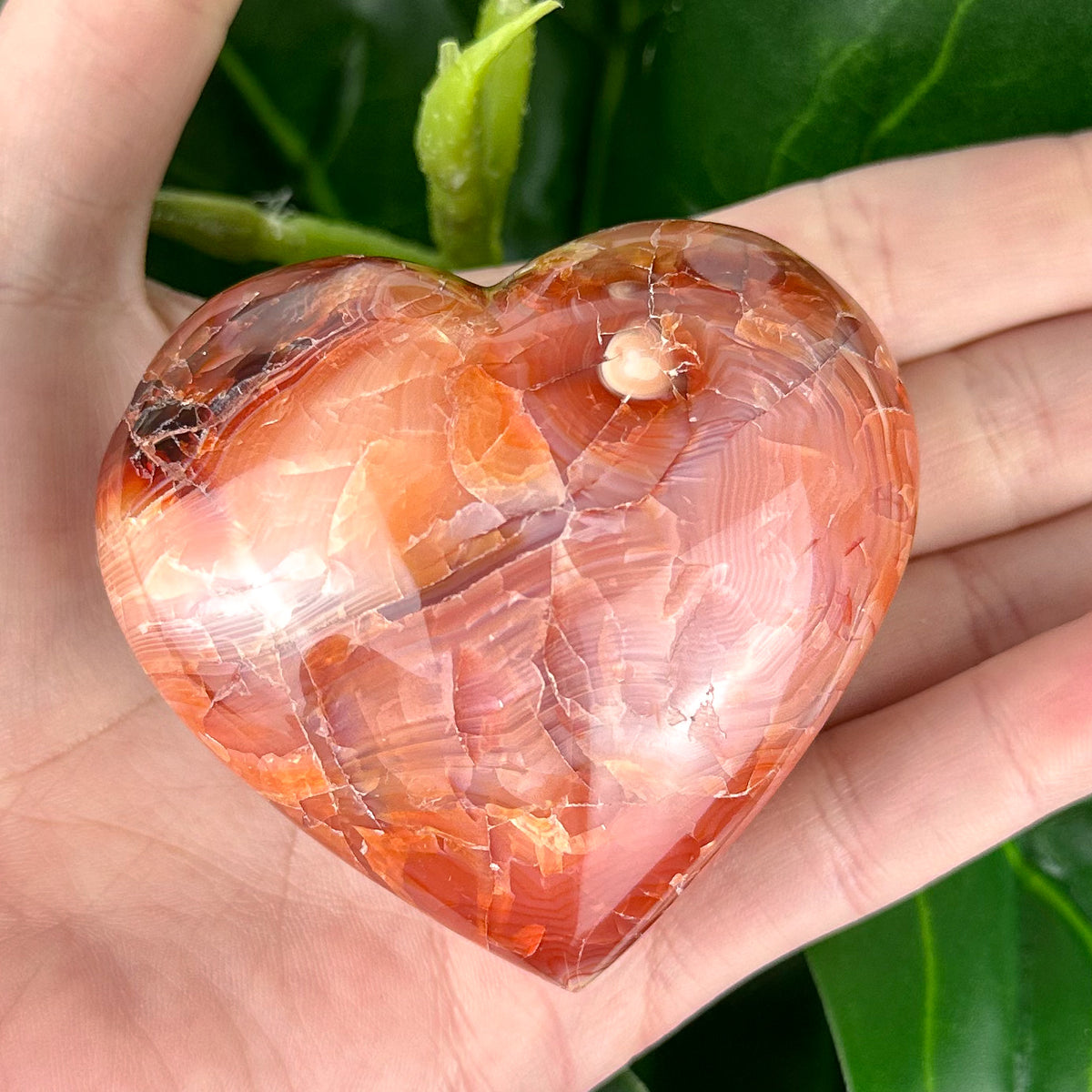 Large Carnelian Heart Crystal | Confidence, Energy & Creativity