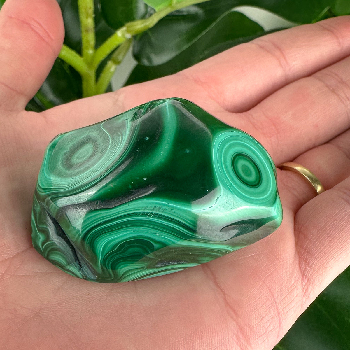 Polished Malachite Palm Stone | 77g | Deep Green Swirls for Emotional Strength & Healing