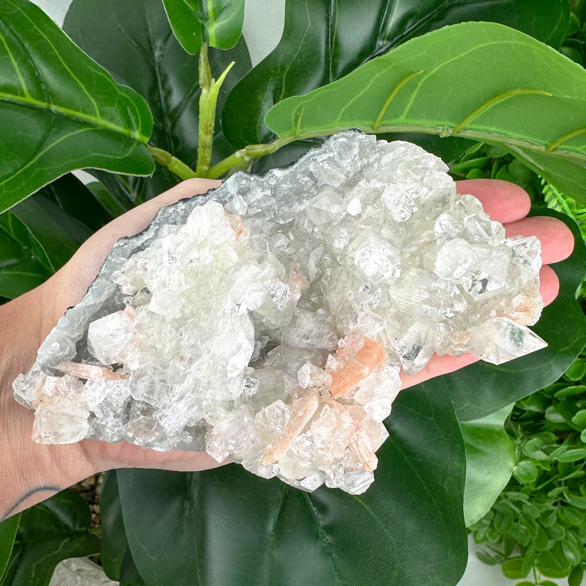 Apophyllite Cluster No.1 – Clear Points & Peach Selenite (Large 395g)