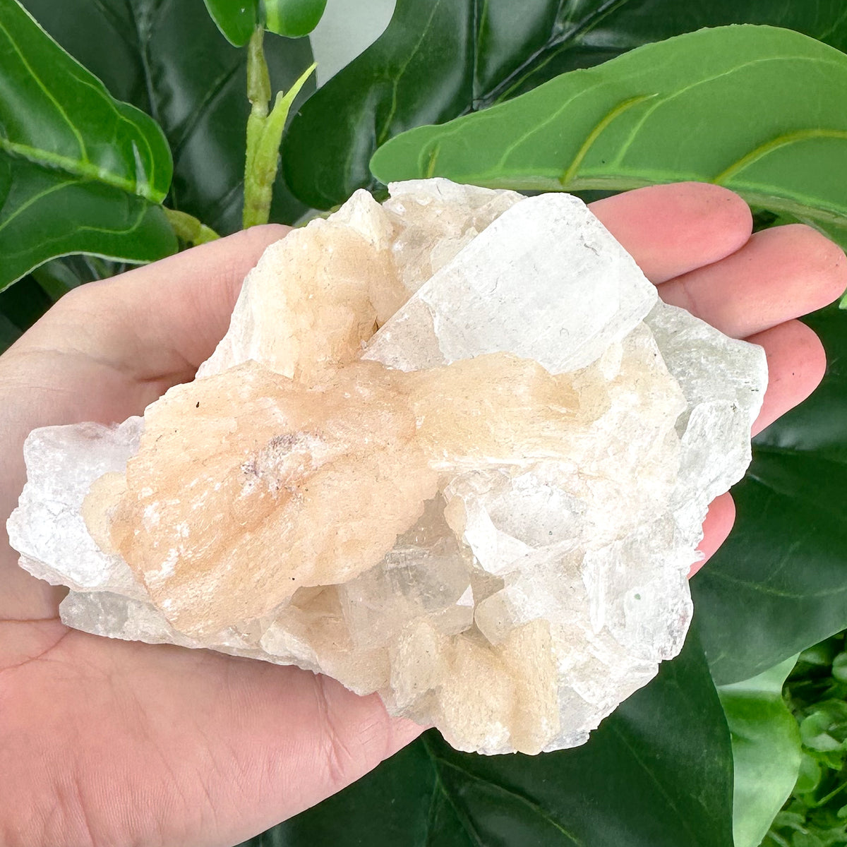 Apophyllite Cluster No.2 – Cube Structures & Peach Glow (312g)
