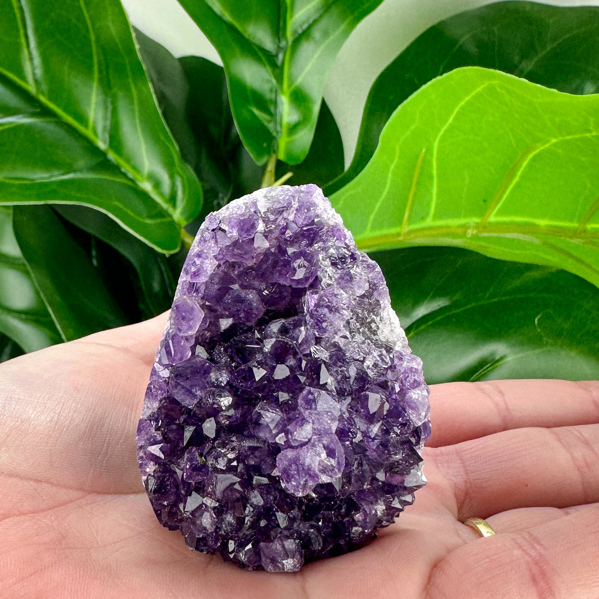 Amethyst Geode Freeforms- Choose Your Own