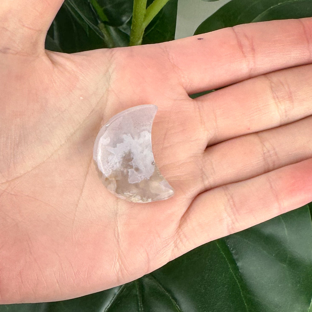 Flower Agate Moon Crystal #4 | Growth & New Beginnings Crystal