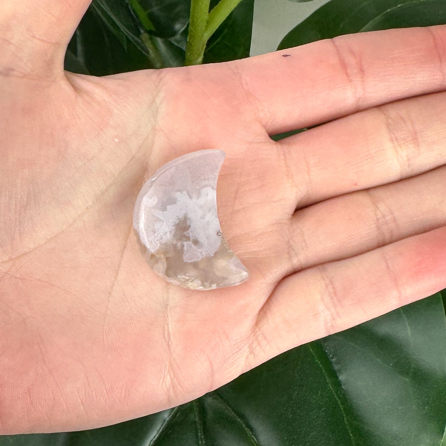 CC6A6477-CFF7-43CE-8270-368F0BE620DA