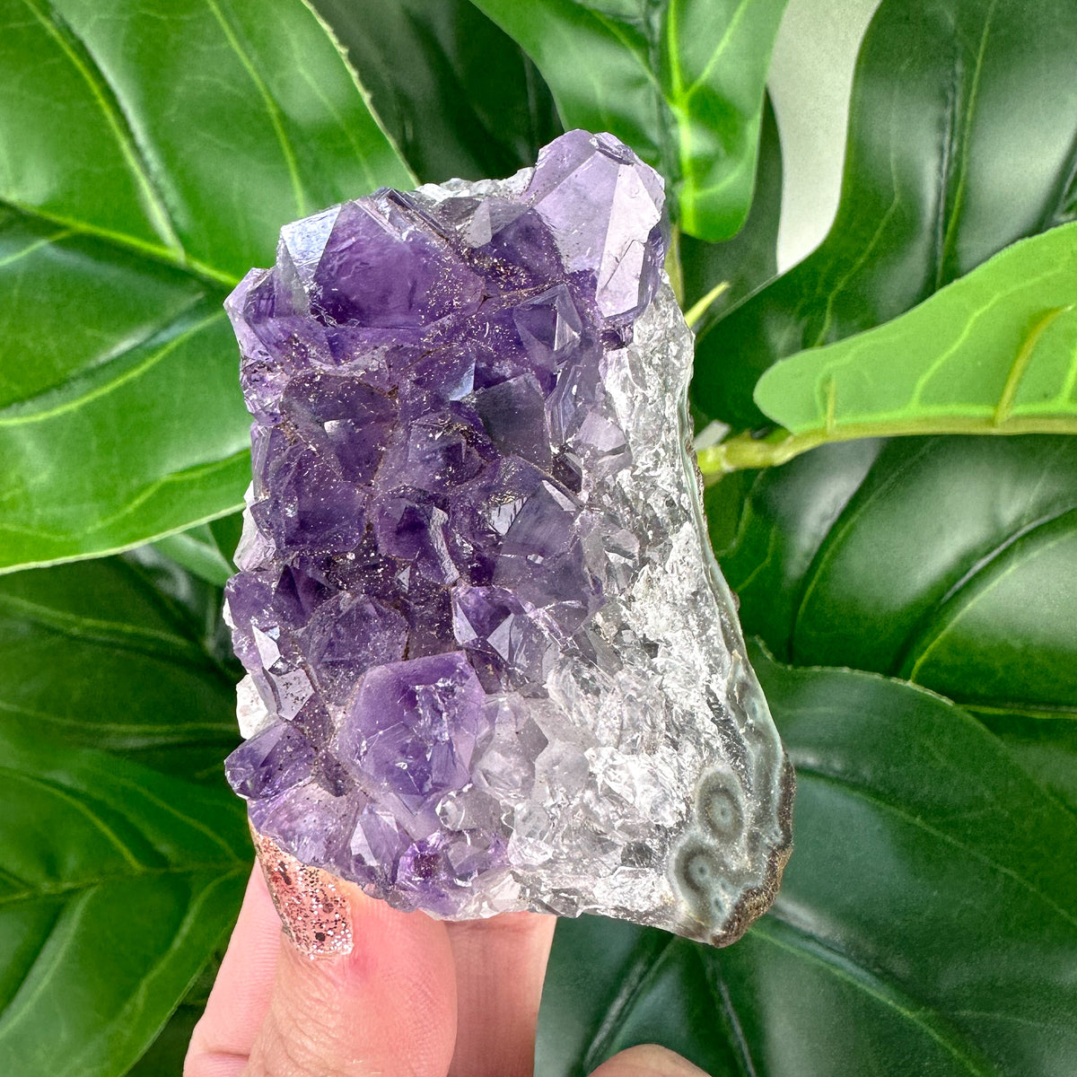 Large Amethyst Cluster- Choose Your Own