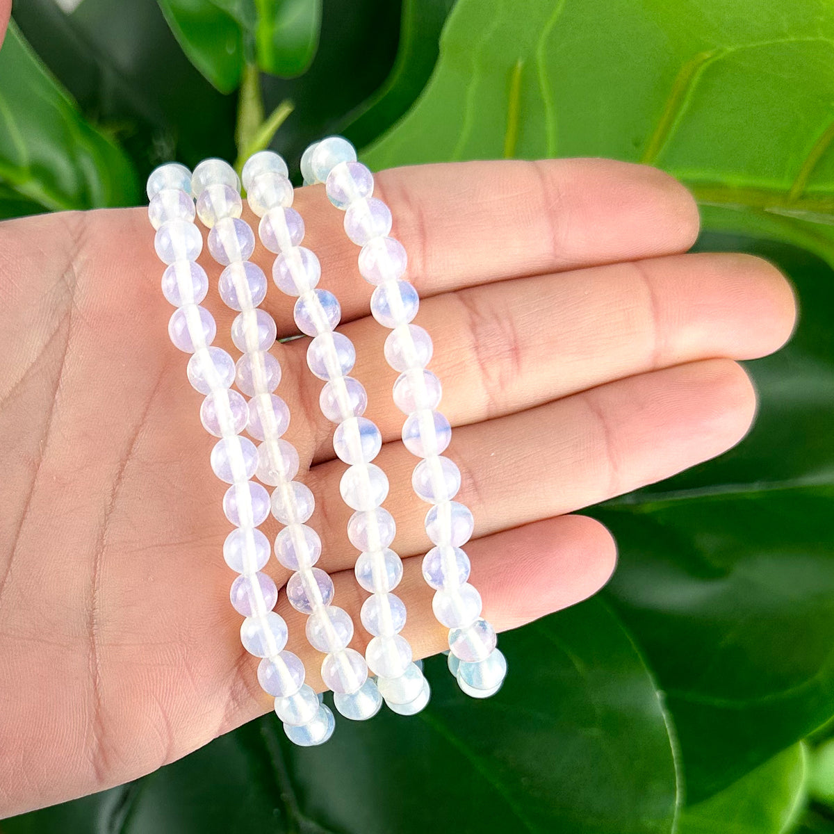 Opalite 6mm Bracelet