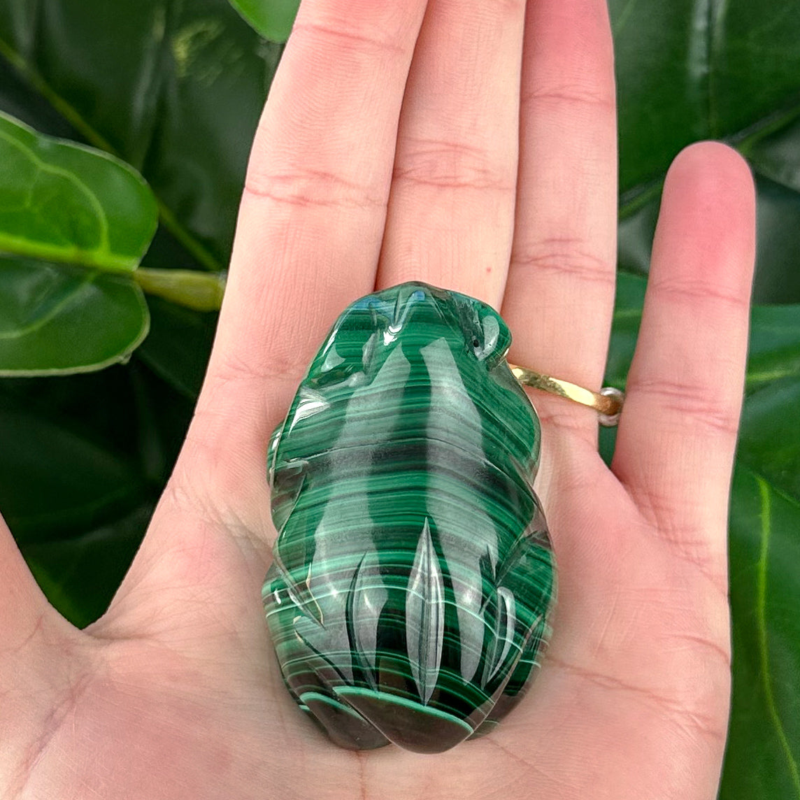 Malachite Frog Carving | Prosperity, Protection & Transformation
