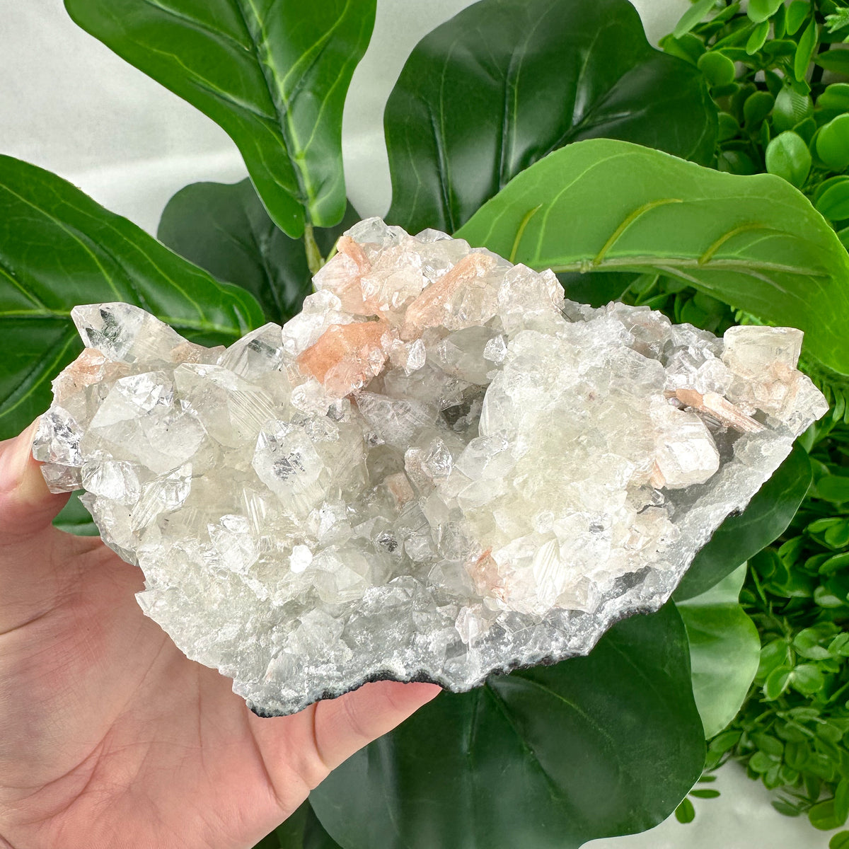 Apophyllite Cluster No.1 – Clear Points & Peach Selenite (Large 395g)