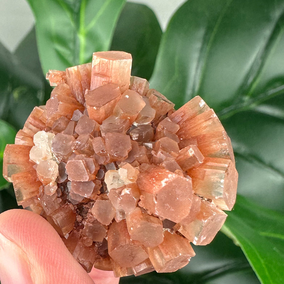 Aragonite Sputnik Mineral Specimen | Grounding & Calming Crystal